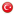 Türkçe